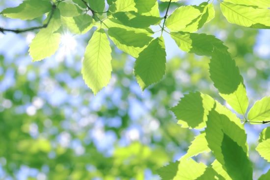 気持ちの良い初夏におすすすめの掃除・片付け